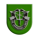 1st BN, 10th SFG (A)