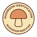 Mushroom Identification
