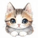 BPD Support Group. Discord server icon