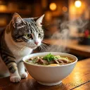 Quán Phở Mèo Myciel