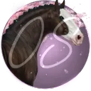 𝑺𝒑𝒓𝒊𝒏𝒈 𝑭𝒐𝒓𝒄𝒆 𝑶𝑺