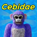 Cebidae