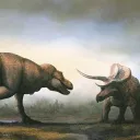 Extinction arena