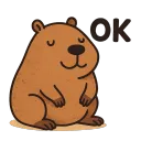 Wariaty Kapiego Discord server icon