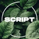 Script.exe