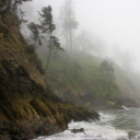 Oregon Coast Network | Oregon Gaming & Chill Hub Discord server icon