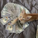Something Cheap