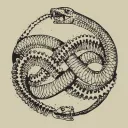 Reincarnate
