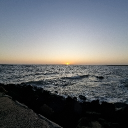 gayland ♡ Discord server icon