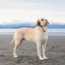 Unemployed rotters Discord server icon