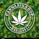 medical marijuana and psychedelics highZone