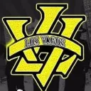 Los Vagos
