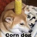 the corndog society