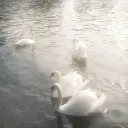 𝔡𝔢𝔠𝔵𝔶.𝔷𝔬𝔫𝔢 discord icon