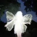 Fairy Community