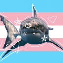 ＊*•̩̩͙✩•̩̩͙*˚ 🦈𝑠ℎ𝑎𝑟𝑘𝑠🦈 ˚*•̩̩͙✩•̩̩͙*˚＊ Discord server icon