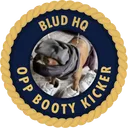 BLUD HQ
