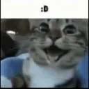 ꧁•⊹٭ 𝙿𝚛𝚘𝚓𝚎𝚌𝚝-𝙽𝚃𝙽 ٭⊹•꧂