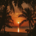 Sunset 18+ SFW Discord server icon