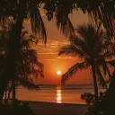 Sunset 18+ SFW Discord Server Icon