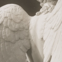 ִ     🪽   ⨟   Garden of Eden    4 4 4    𓊇𓈒  ໑ Discord server icon