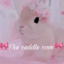 🎀🌸 𝓣𝓱𝓮 𝓬𝓾𝓭𝓭𝓵𝓮 𝓬𝓸𝓿𝓮 🌸🎀