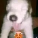 El servidor de Zervxj y tokito