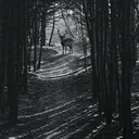 Make Me Run