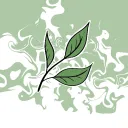 Matcha Home