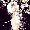 🕷ζ͜͡𝕲𝖍𝖔𝖘♱❦.tag.emotes.gws~ icon