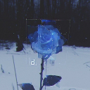 ♱❀▻ Lunaris ◅❀♱ Server Icon