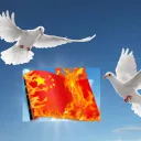 Friends-Free-Asia discord icon