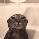 ふみふみ界隈🔞@団地住みTag