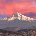 Greater PDX Community Discord server icon