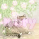 ᨓ 。𝙄𝙑𝙊𝙍𝙔  ︵  !!?