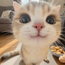 meowtopia 18+