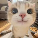 meowtopia