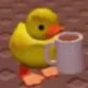 Ducky