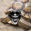 Tortue Mazo