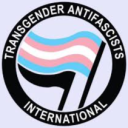 nsw trans Discord server icon