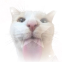 ⤷ ゛s᭡rver‼ ˎˊ˗ Discord server icon