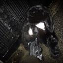 flaws | social  ̇⋆✮ communit...