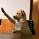 Mr_totokiller on twitch