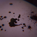 𝕎𝕣𝕚𝕥𝕚𝕟𝕘 𝕚𝕟 𝕥𝕙𝕖 𝔻𝕒𝕣𝕜 Discord server icon