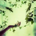 ・🍃 」Daeryion RP