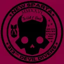 313th Devildiver Assault Company