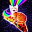 tacocat