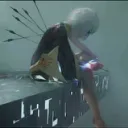 /ko