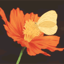 𝒯𝒽𝑒 𝐻𝑒𝒶𝓇𝓉𝒽𝒻𝒾𝓇𝑒 𝐼𝓃𝓃 :･ﾟ✧:･ﾟ✧ Discord server icon