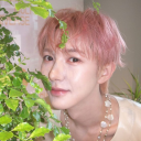 𓂃˖ ࣪⊹ ░  .gg/jun ˊˎ- Discord server icon